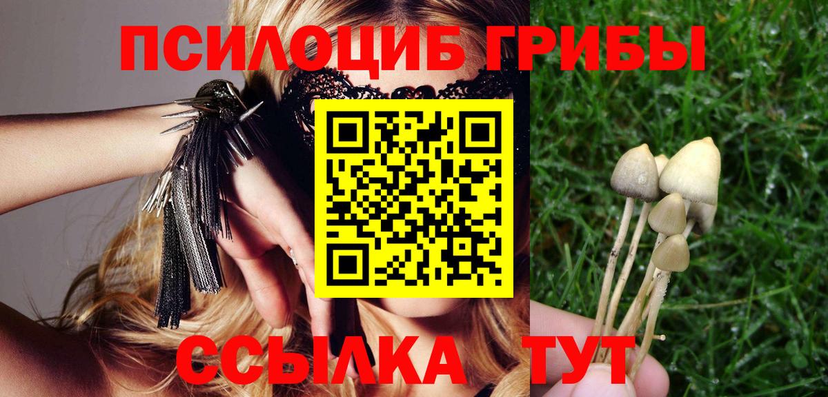 Галлюциногенные грибы Cubensis Торжок